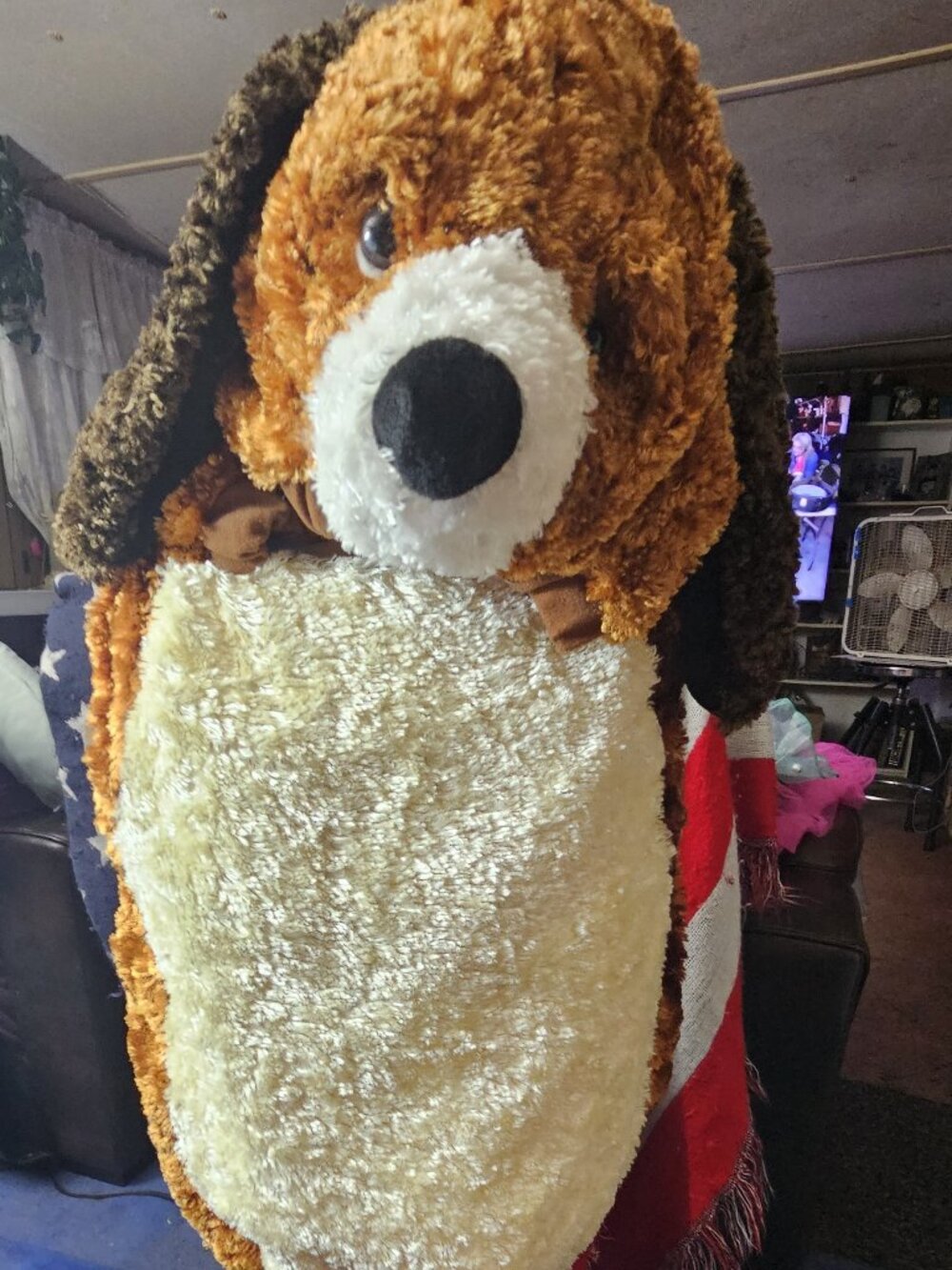 Hound Dog - Size 24 Months Costume